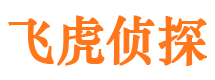 汉寿找人公司